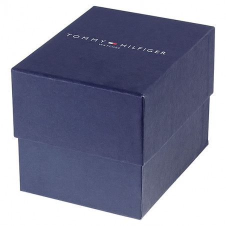 Zegarek męski Tommy Hilfiger Noah 1790919