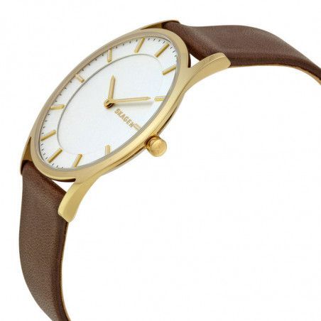 Zegarek damski Skagen Holst SKW6225