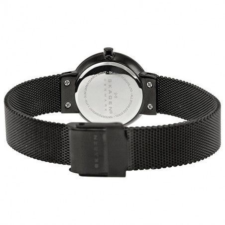 Zegarek damski Skagen 456SBB