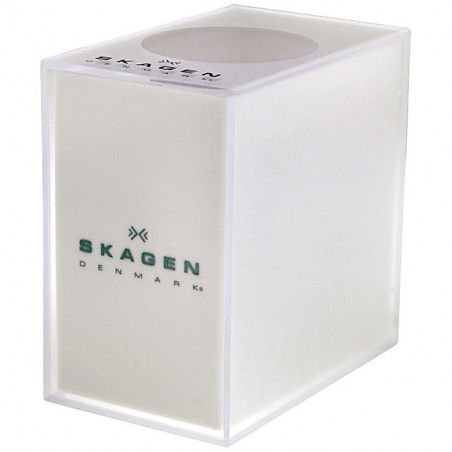 Zegarek damski Skagen 456SBB