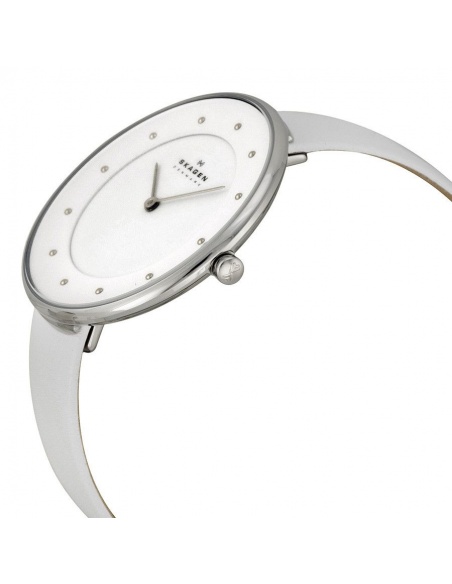 Zegarek damski Skagen Gitte SKW2136