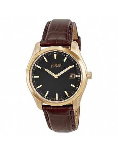 Zegarek męski Citizen Eco-Drive AU1043-00E