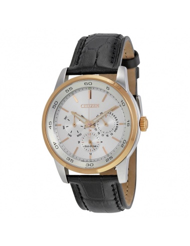 Zegarek męski Citizen Eco-Drive BU2016-00A