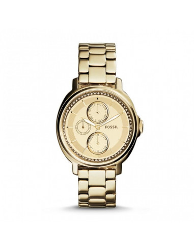 Zegarek damski Fossil Chelsey ES3719