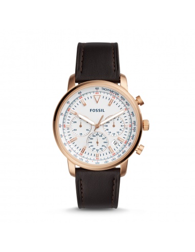 Zegarek męski Fossil Goodwin FS5415