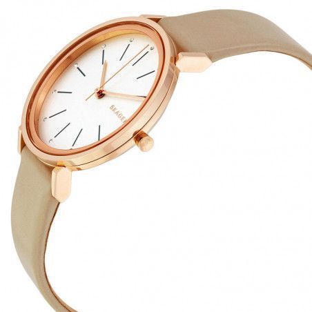 Zegarek damski Skagen Hald SKW2489