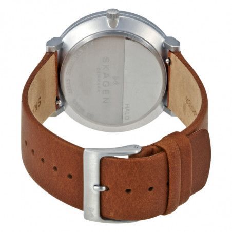 Zegarek męski Skagen Hald SKW6277