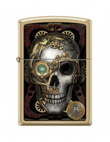 Zapalniczka Zippo 6569 Anne Stokes - Steampunk Skull